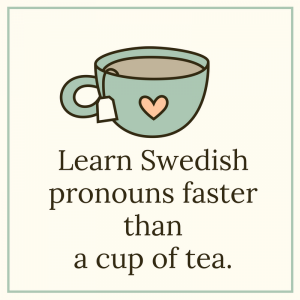swedish pronouns