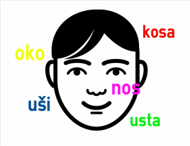 coLanguage