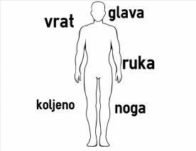 coLanguage