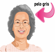 grijshaar