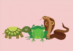 amphiabians and reptiles in Dutch