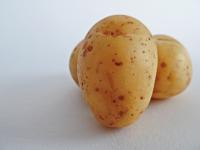 aardappelen