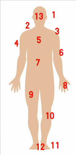 turkishbody