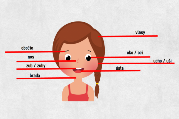Slovak parts of head