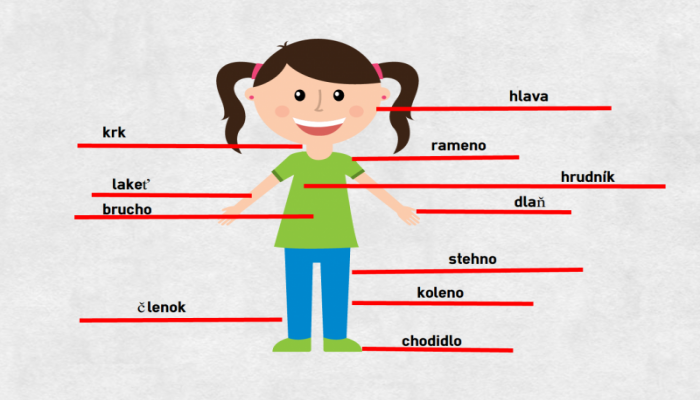 Slovak body parts