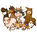 animali