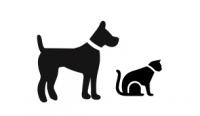 Tiere auf Spanisch