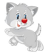 kitten